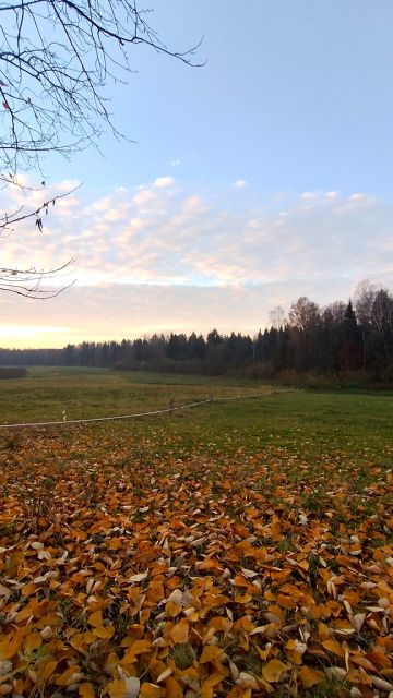 Działka siedliskowa Stryjewo sprzedam