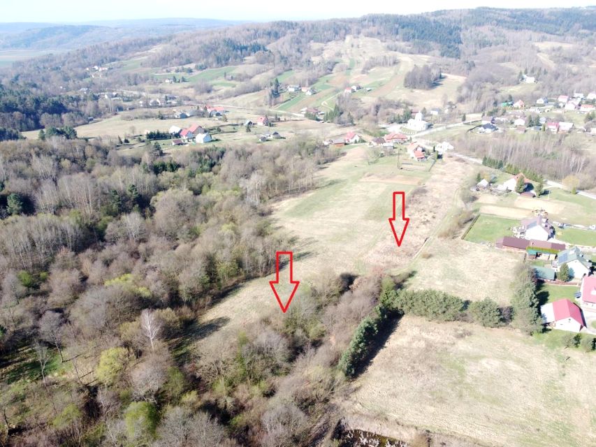 Działka leśna Skopów