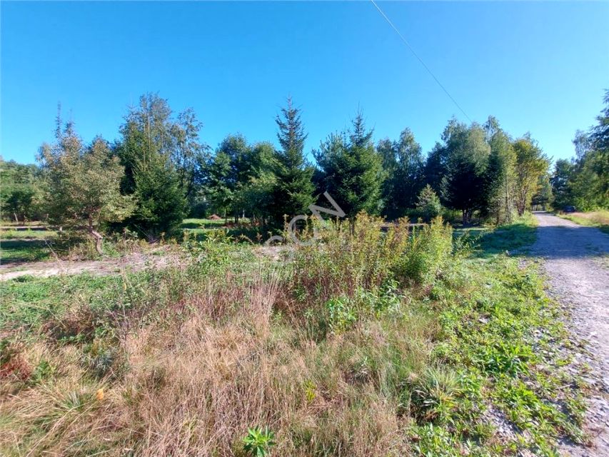 Działka Dziechciniec