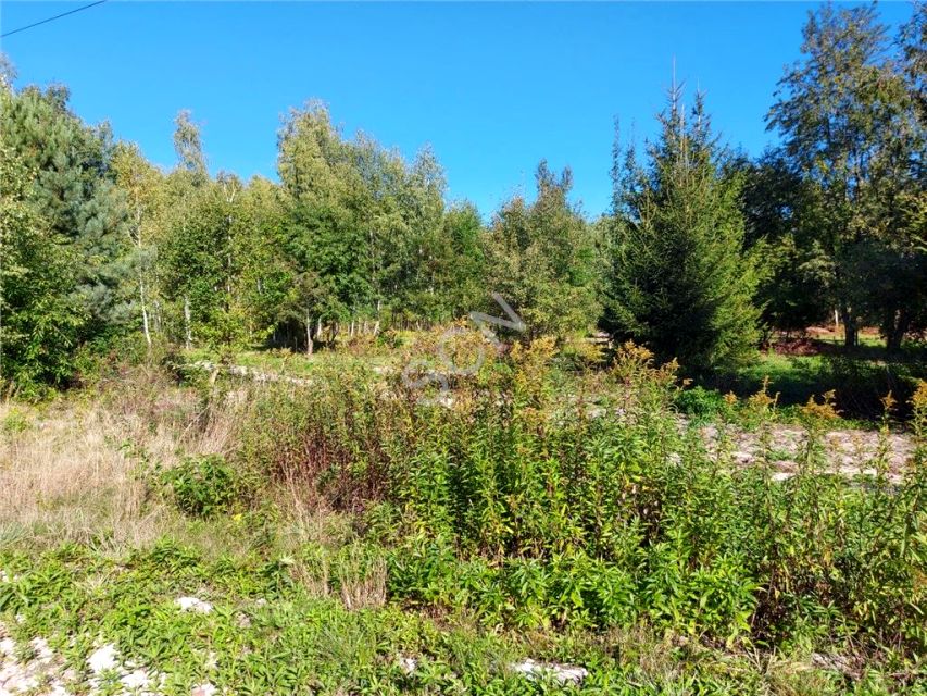 Działka Dziechciniec