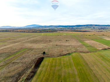 Działka rolna Czarny Dunajec