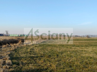 Działka budowlano-rolna Cholewy sprzedam