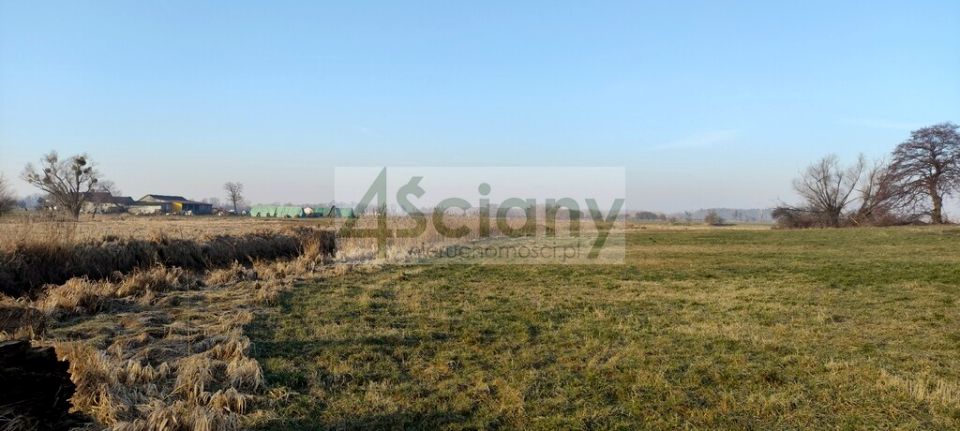 Działka budowlano-rolna Cholewy sprzedam