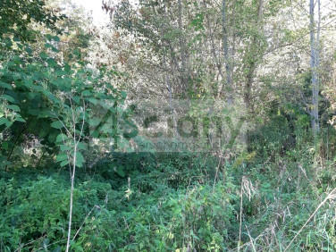 Działka budowlana sprzedam