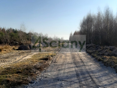 Działka Wycześniak