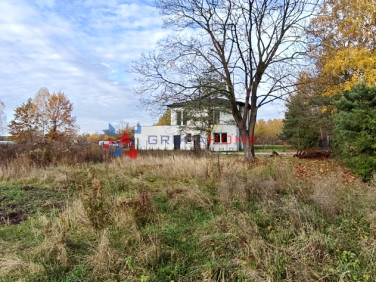 Działka Złotokłos