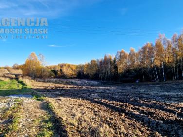 Działka budowlana Jastrzębie-Zdrój