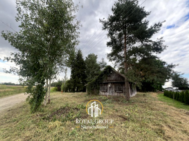 Działka siedliskowa Gołąb