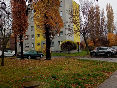 Mieszkanie Świętochłowice