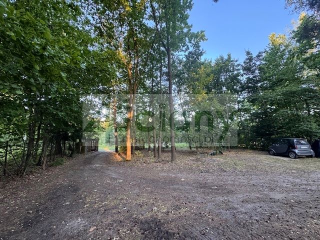 Działka Złotokłos