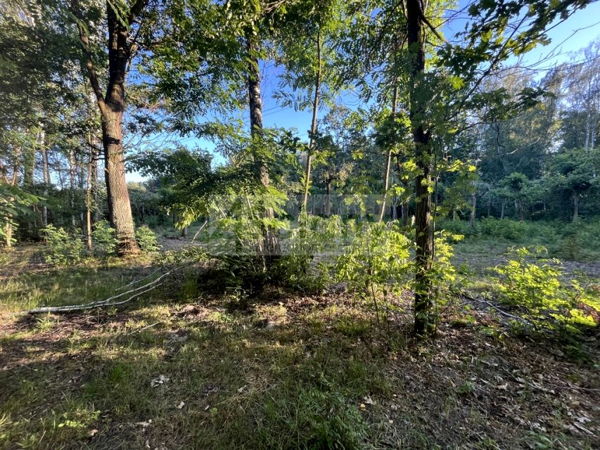 Działka Złotokłos