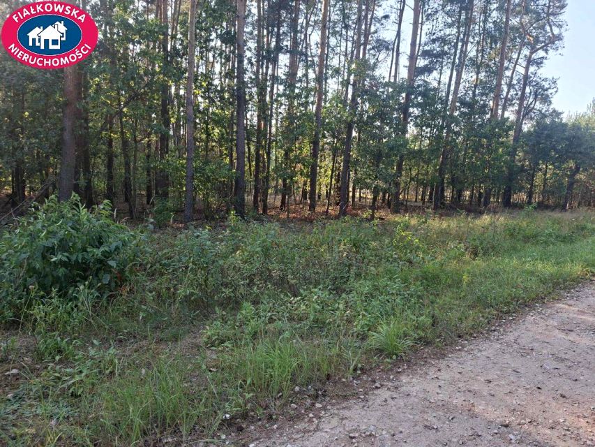 Działka budowlana Krzyżówka sprzedam