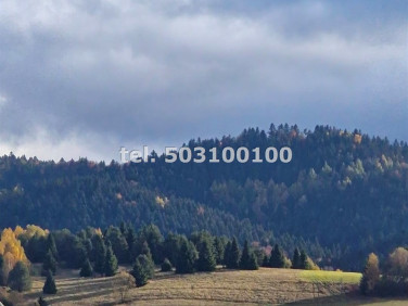 Dom wolnostojący sprzedaż