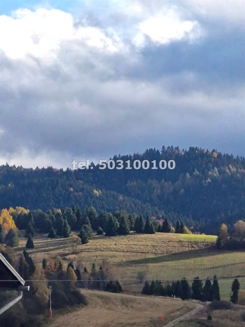 Dom wolnostojący sprzedaż