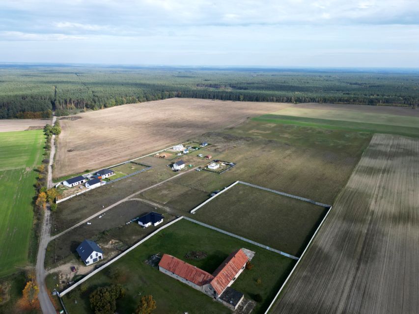 Zdjęcie 3