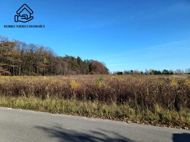 Działka budowlana Nowy Staw