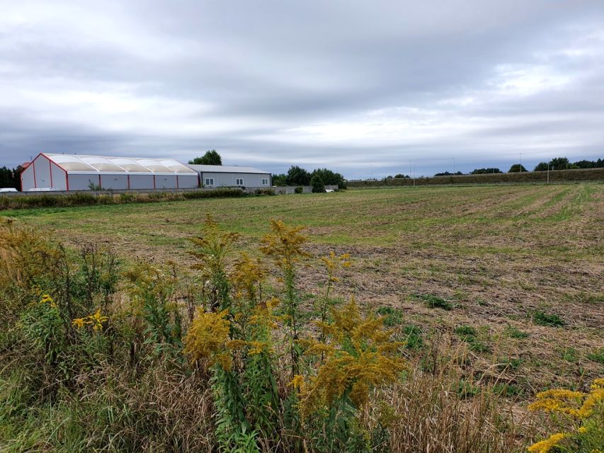 Działka usługowa sprzedam