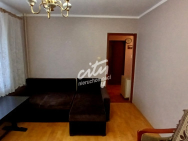 Mieszkanie Gryfino wynajem