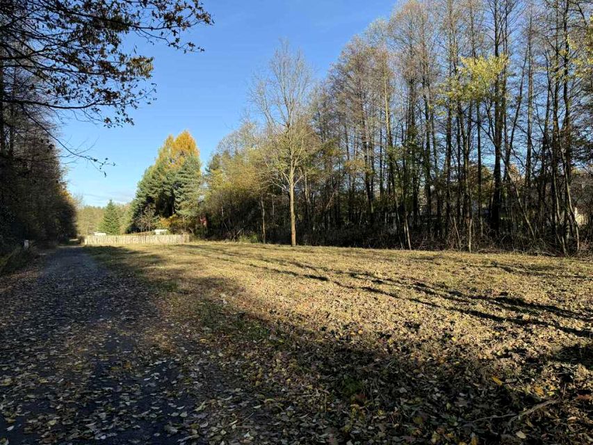 Działka budowlana Zofiówka sprzedam