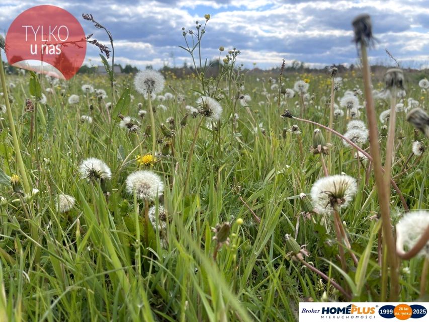 Działka budowlana Ciemne
