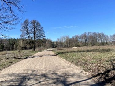 Działka budowlana Łosie