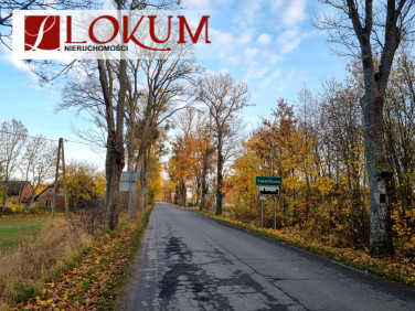 Działka Świetlikowo