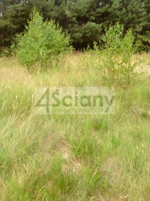 Zdjęcie 2