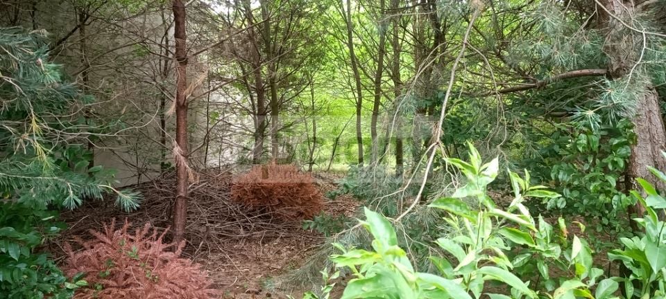 Działka budowlana STARA WIEŚ sprzedam