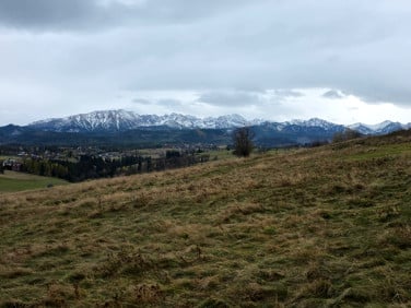 Działka rolna Poronin sprzedam