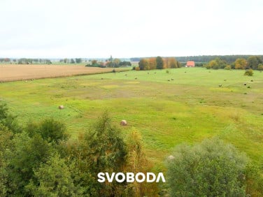 Działka przy lesie