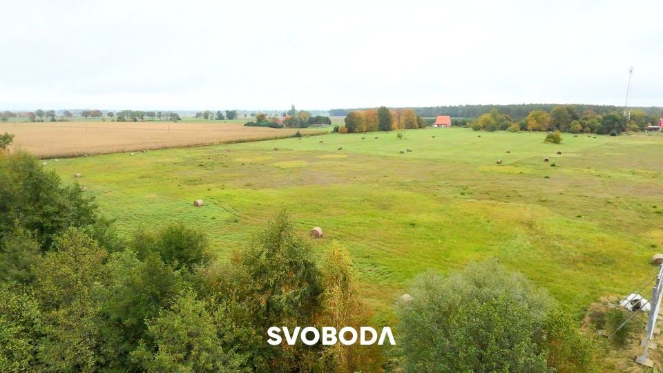 Działka przy lesie