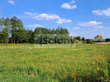 Działka budowlana RADONICE sprzedam