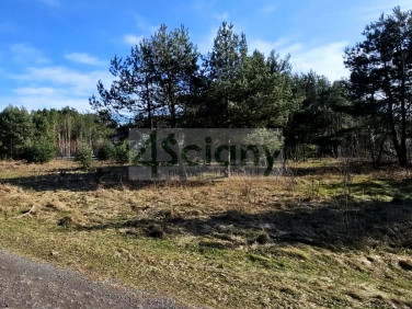 Działka przy lesie