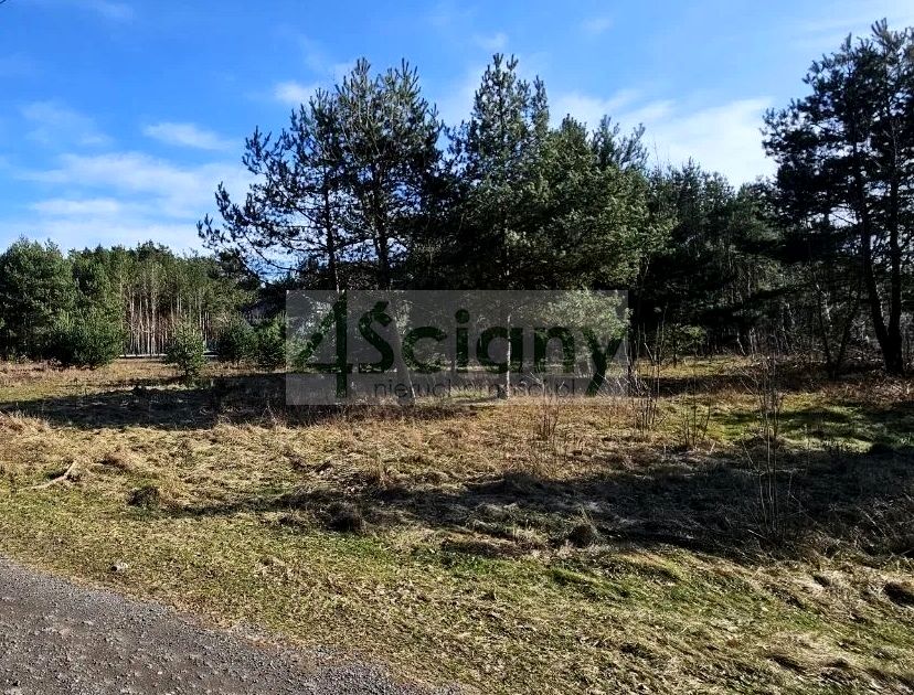 Działka przy lesie