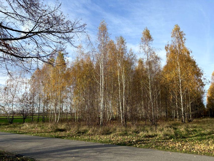 Działka budowlana Zator sprzedam