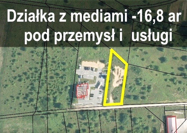 Pusta działka Lubin