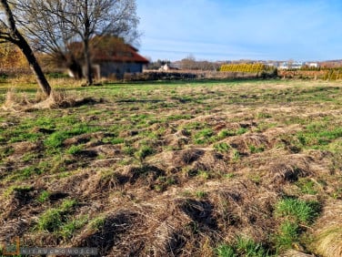 Działka Masłomiąca