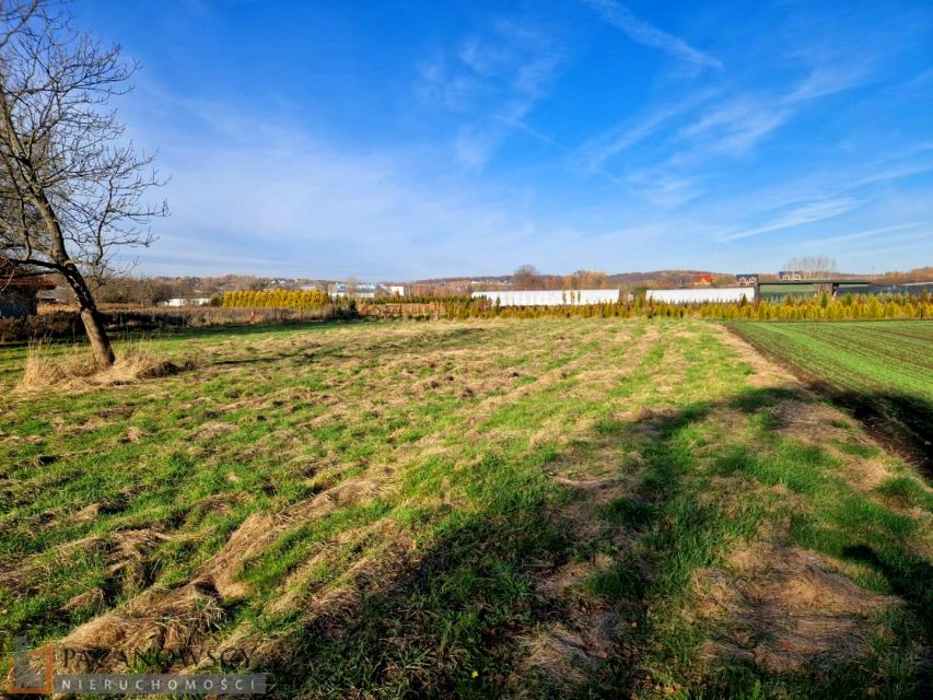 Działka Masłomiąca