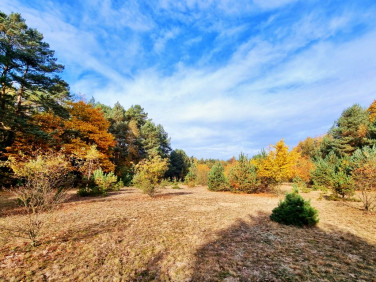 Działka budowlana Środoń