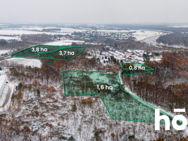 Działka Pogalewo Wielkie