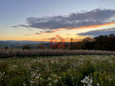 Działka budowlana Wielopole Skrzyńskie