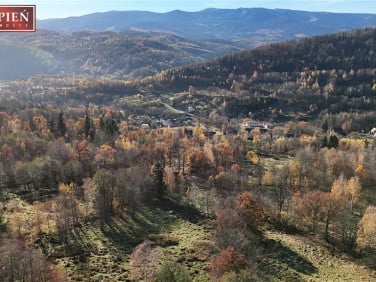 Działka rolna Piechowice