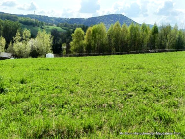 Działka budowlana Jasienica Rosielna