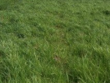 Działka budowlana Kolonia Lesznowola