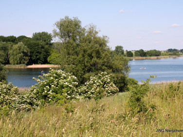 Działka budowlana Chełmża