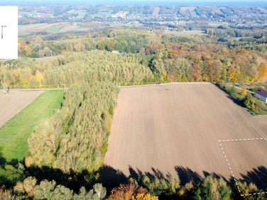 Działka Łęki Dolne