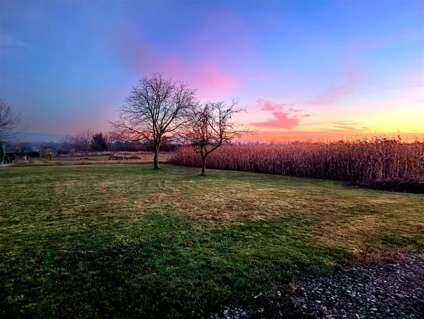 Działka Goczałkowice-Zdrój