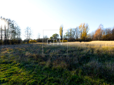 Działka usługowa Kobylin