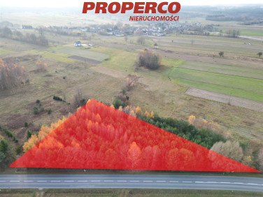 Pusta działka Jedle