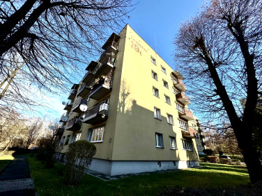 Mieszkanie Rybnik sprzedaż